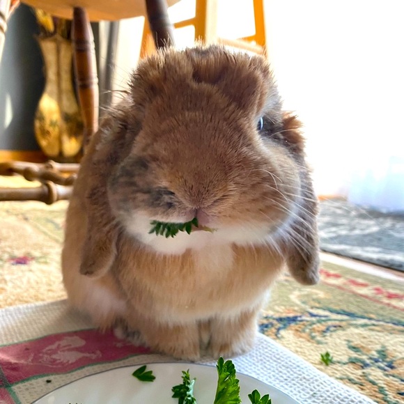 Meet your Posher, Jen - Picture 5 of 12